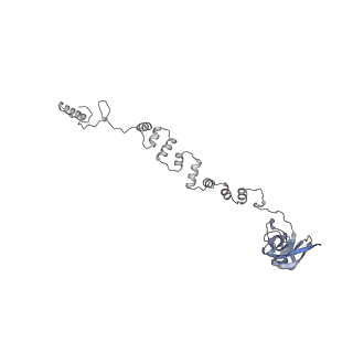 4655_6qvk_2v_v1-0
The cryo-EM structure of bacteriophage phi29 prohead
