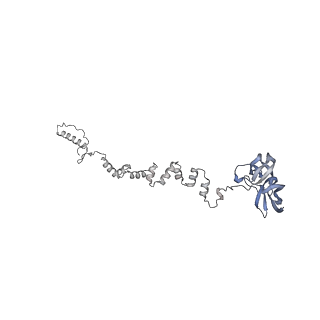 4655_6qvk_2x_v1-0
The cryo-EM structure of bacteriophage phi29 prohead