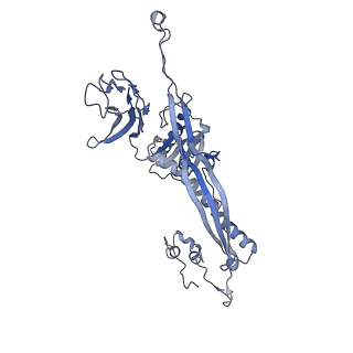 4655_6qvk_3B_v1-0
The cryo-EM structure of bacteriophage phi29 prohead