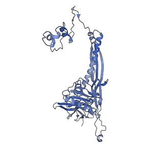 4655_6qvk_3E_v1-0
The cryo-EM structure of bacteriophage phi29 prohead
