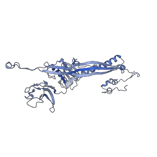 4655_6qvk_3H_v1-0
The cryo-EM structure of bacteriophage phi29 prohead