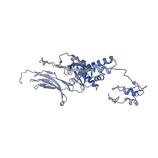 4655_6qvk_3I_v1-0
The cryo-EM structure of bacteriophage phi29 prohead