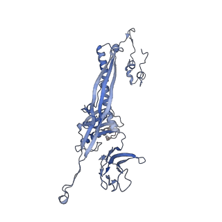 4655_6qvk_3N_v1-0
The cryo-EM structure of bacteriophage phi29 prohead