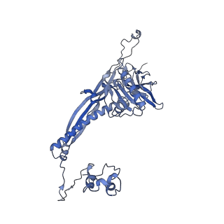 4655_6qvk_3Q_v1-0
The cryo-EM structure of bacteriophage phi29 prohead