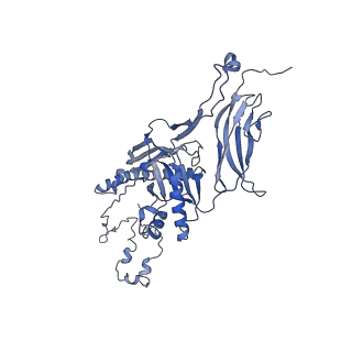 4655_6qvk_3R_v1-0
The cryo-EM structure of bacteriophage phi29 prohead