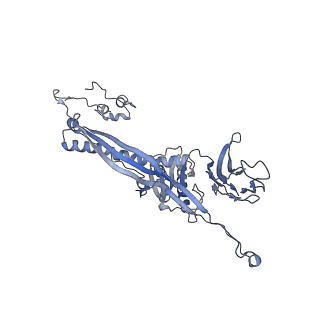 4655_6qvk_3T_v1-0
The cryo-EM structure of bacteriophage phi29 prohead
