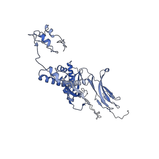 4655_6qvk_3U_v1-0
The cryo-EM structure of bacteriophage phi29 prohead