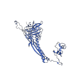 4655_6qvk_3W_v1-0
The cryo-EM structure of bacteriophage phi29 prohead