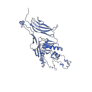4655_6qvk_3X_v1-0
The cryo-EM structure of bacteriophage phi29 prohead
