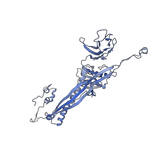 4655_6qvk_3Z_v1-0
The cryo-EM structure of bacteriophage phi29 prohead
