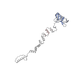 4655_6qvk_3e_v1-0
The cryo-EM structure of bacteriophage phi29 prohead