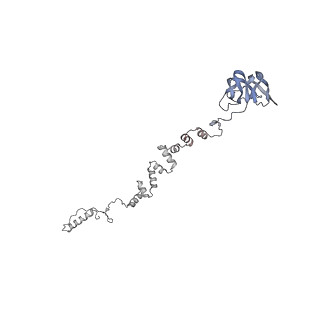 4655_6qvk_3f_v1-0
The cryo-EM structure of bacteriophage phi29 prohead