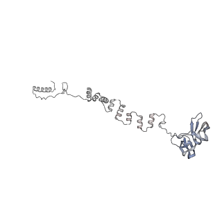 4655_6qvk_3h_v1-0
The cryo-EM structure of bacteriophage phi29 prohead