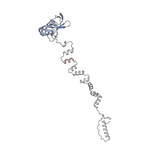 4655_6qvk_3i_v1-0
The cryo-EM structure of bacteriophage phi29 prohead