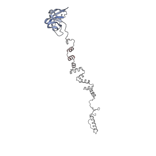 4655_6qvk_3j_v1-0
The cryo-EM structure of bacteriophage phi29 prohead