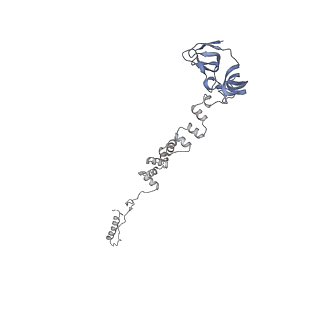 4655_6qvk_3k_v1-0
The cryo-EM structure of bacteriophage phi29 prohead
