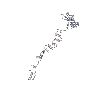 4655_6qvk_3l_v1-0
The cryo-EM structure of bacteriophage phi29 prohead