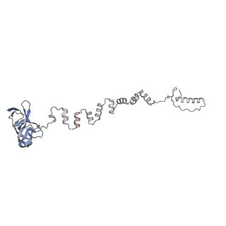 4655_6qvk_3m_v1-0
The cryo-EM structure of bacteriophage phi29 prohead
