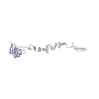 4655_6qvk_3n_v1-0
The cryo-EM structure of bacteriophage phi29 prohead