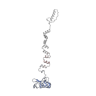 4655_6qvk_3q_v1-0
The cryo-EM structure of bacteriophage phi29 prohead