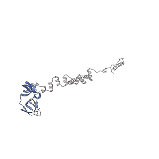 4655_6qvk_3s_v1-0
The cryo-EM structure of bacteriophage phi29 prohead