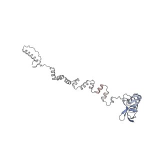 4655_6qvk_3u_v1-0
The cryo-EM structure of bacteriophage phi29 prohead
