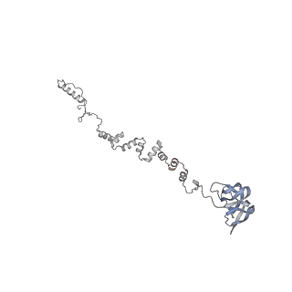 4655_6qvk_3v_v1-0
The cryo-EM structure of bacteriophage phi29 prohead
