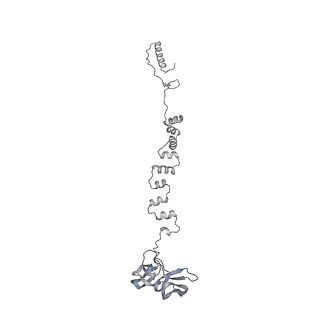 4655_6qvk_3x_v1-0
The cryo-EM structure of bacteriophage phi29 prohead