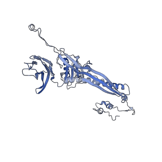 4655_6qvk_4C_v1-0
The cryo-EM structure of bacteriophage phi29 prohead