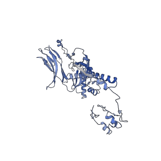 4655_6qvk_4D_v1-0
The cryo-EM structure of bacteriophage phi29 prohead