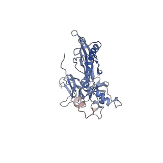 4655_6qvk_4E_v1-0
The cryo-EM structure of bacteriophage phi29 prohead