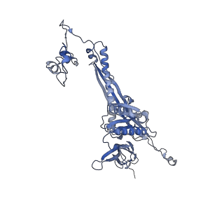 4655_6qvk_4F_v1-0
The cryo-EM structure of bacteriophage phi29 prohead