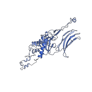 4655_6qvk_4G_v1-0
The cryo-EM structure of bacteriophage phi29 prohead