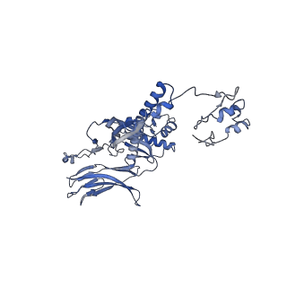 4655_6qvk_4J_v1-0
The cryo-EM structure of bacteriophage phi29 prohead