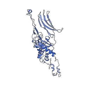4655_6qvk_4M_v1-0
The cryo-EM structure of bacteriophage phi29 prohead