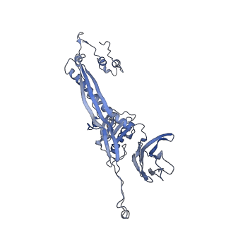 4655_6qvk_4O_v1-0
The cryo-EM structure of bacteriophage phi29 prohead