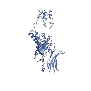 4655_6qvk_4P_v1-0
The cryo-EM structure of bacteriophage phi29 prohead