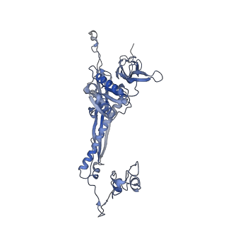4655_6qvk_4R_v1-0
The cryo-EM structure of bacteriophage phi29 prohead
