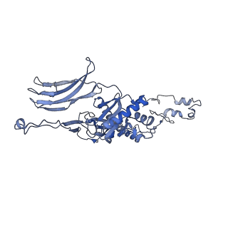 4655_6qvk_4S_v1-0
The cryo-EM structure of bacteriophage phi29 prohead