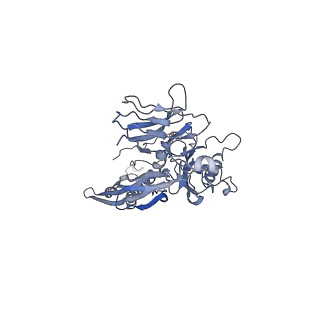 4655_6qvk_4T_v1-0
The cryo-EM structure of bacteriophage phi29 prohead