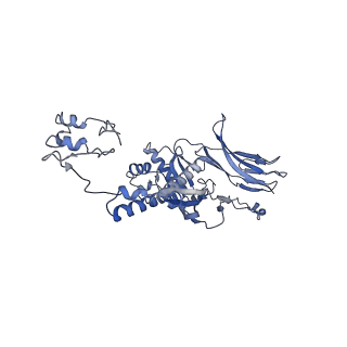 4655_6qvk_4V_v1-0
The cryo-EM structure of bacteriophage phi29 prohead
