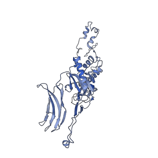 4655_6qvk_4Y_v1-0
The cryo-EM structure of bacteriophage phi29 prohead