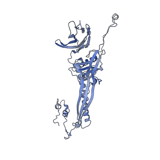 4655_6qvk_4a_v1-0
The cryo-EM structure of bacteriophage phi29 prohead