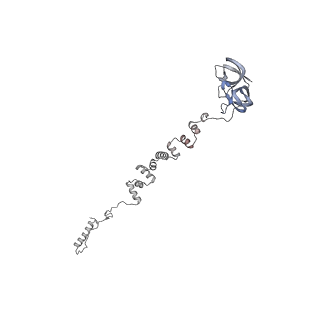 4655_6qvk_4e_v1-0
The cryo-EM structure of bacteriophage phi29 prohead