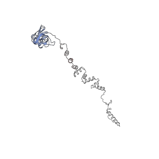 4655_6qvk_4h_v1-0
The cryo-EM structure of bacteriophage phi29 prohead