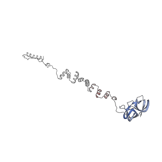 4655_6qvk_4m_v1-0
The cryo-EM structure of bacteriophage phi29 prohead
