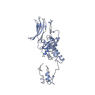 4655_6qvk_5A_v1-0
The cryo-EM structure of bacteriophage phi29 prohead