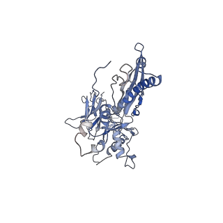 4655_6qvk_5B_v1-0
The cryo-EM structure of bacteriophage phi29 prohead
