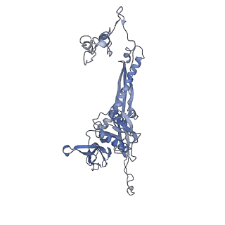 4655_6qvk_5C_v1-0
The cryo-EM structure of bacteriophage phi29 prohead