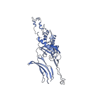 4655_6qvk_5D_v1-0
The cryo-EM structure of bacteriophage phi29 prohead